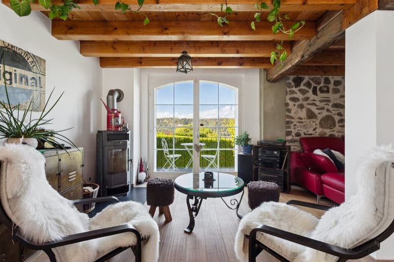 Charmante maison de caractère rénovée (2)