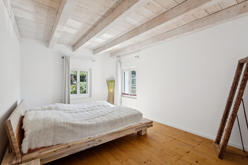 Charmante maison de caractère rénovée (6)