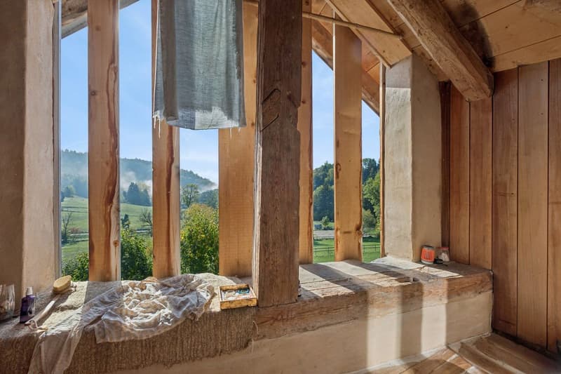 Splendide ferme rénovée en 2015 (1)