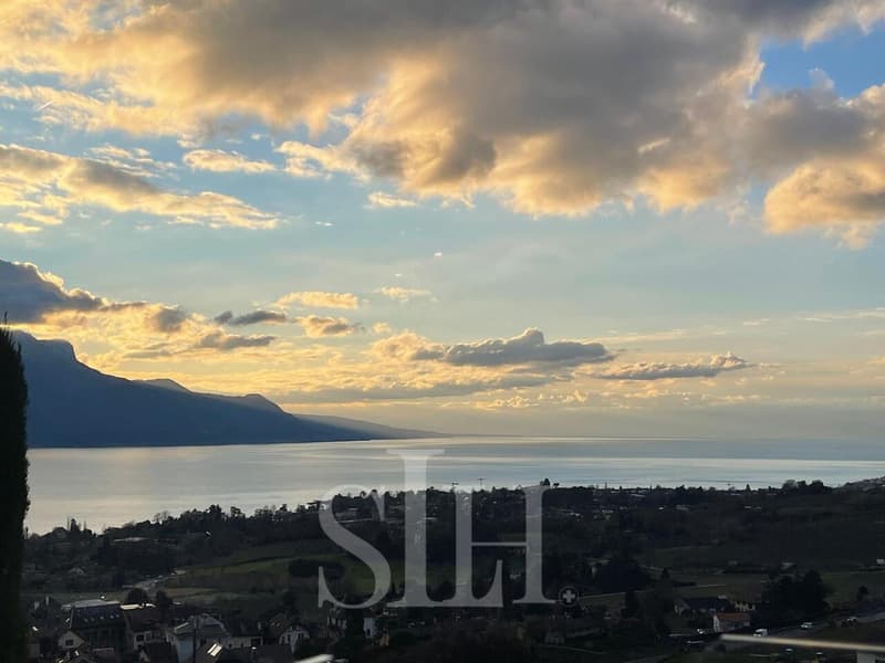 Appartement lumineux avec balcon/Opportunité à saisir/ Vue panoramique (1)