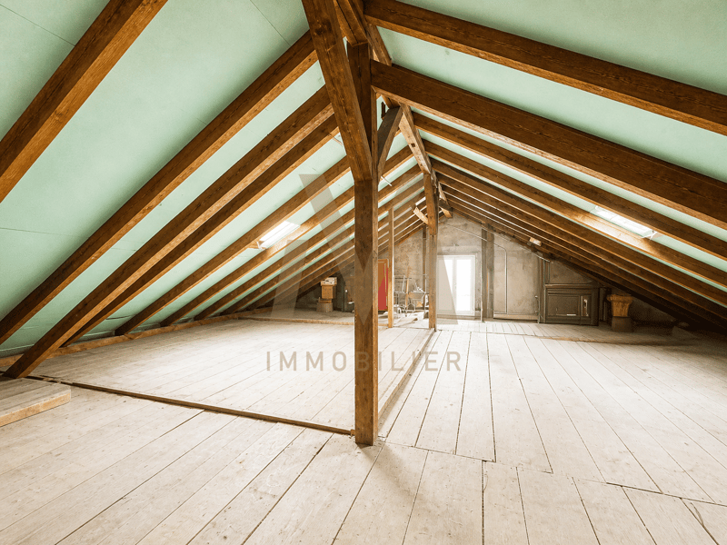Immeuble lumineux avec 2 logements et 4 garages (10)