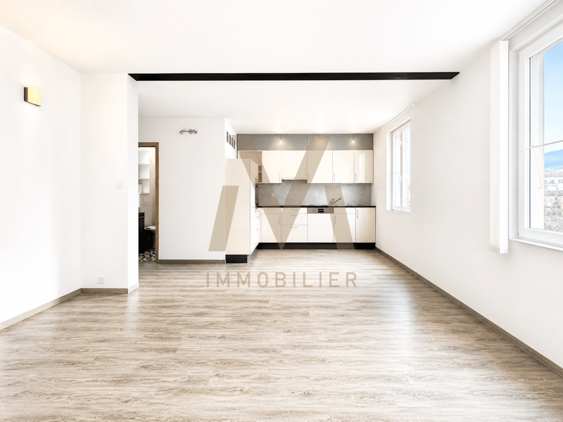 Immeuble lumineux avec 2 logements et 4 garages (3)