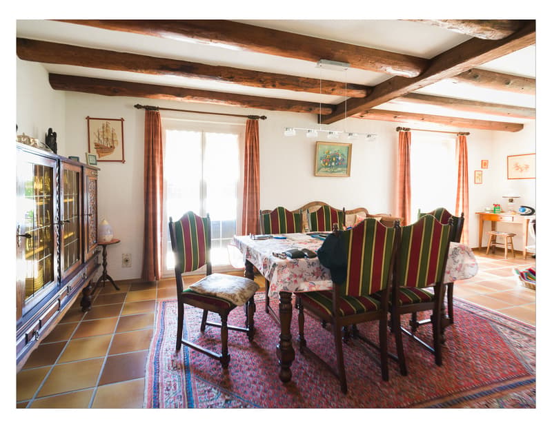 A VENDRE MAGNIFIQUE VILLA VAUDOISE AVEC PISCINE (9)