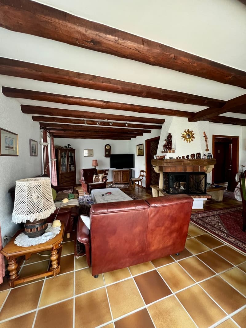 A VENDRE MAGNIFIQUE VILLA VAUDOISE AVEC PISCINE (7)