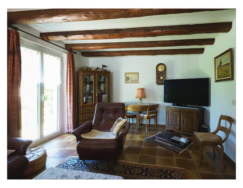 A VENDRE MAGNIFIQUE VILLA VAUDOISE AVEC PISCINE (12)