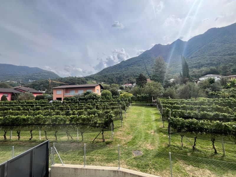 Appartamento di 4.5 locali, Camorino (25)
