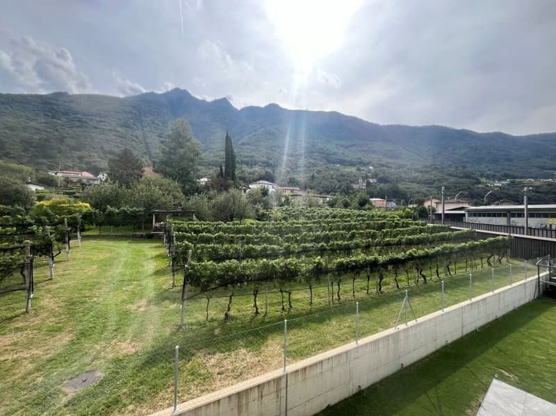 Appartamento di 4.5 locali, Camorino (24)