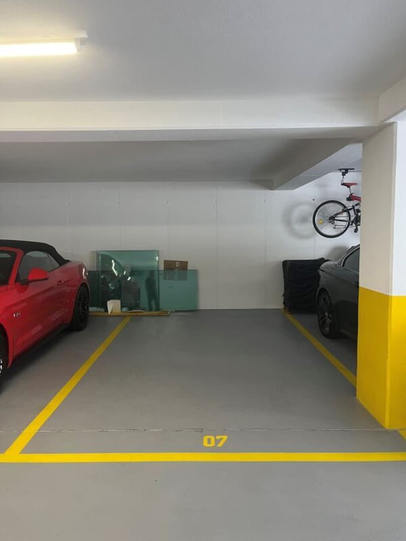 Appartamento di 4.5 locali, Camorino (21)