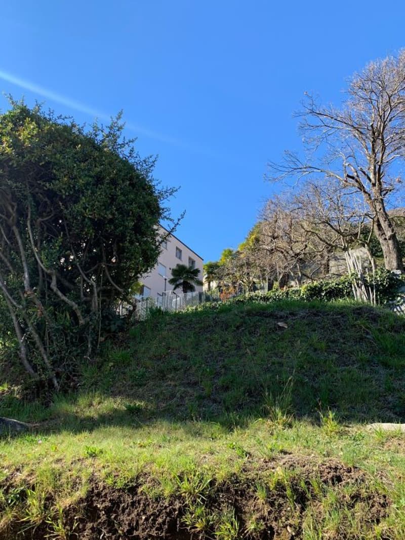 Terreno edificabile di 1548 mq con vista lago, Orselina (6)