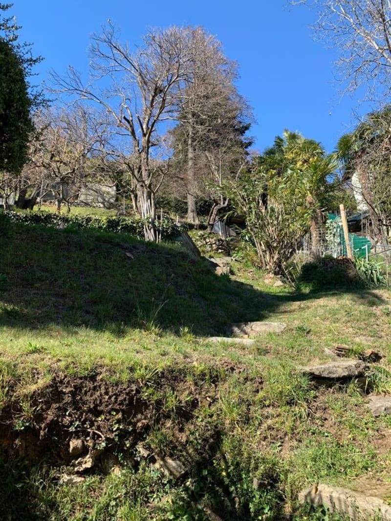 Terreno edificabile di 1548 mq con vista lago, Orselina (8)