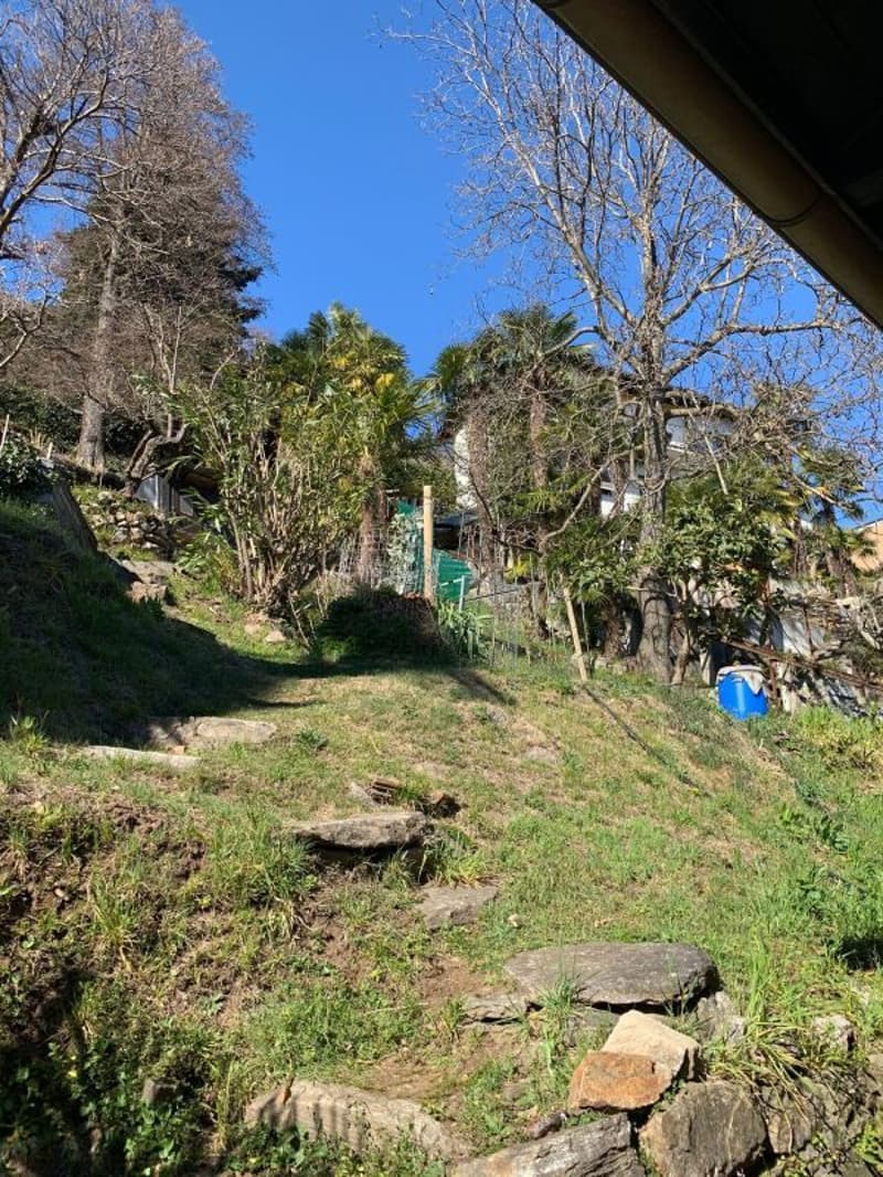 Terreno edificabile di 1548 mq con vista lago, Orselina (7)