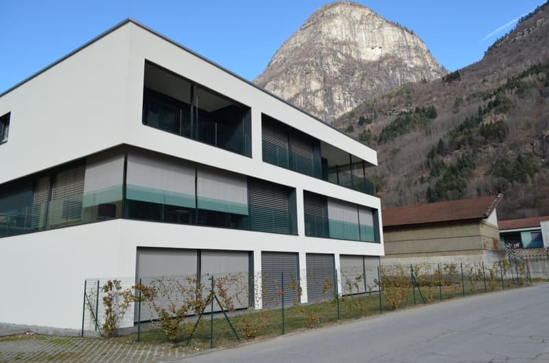 Res. Box, appartamento di 4.5 locali, Osogna (4)