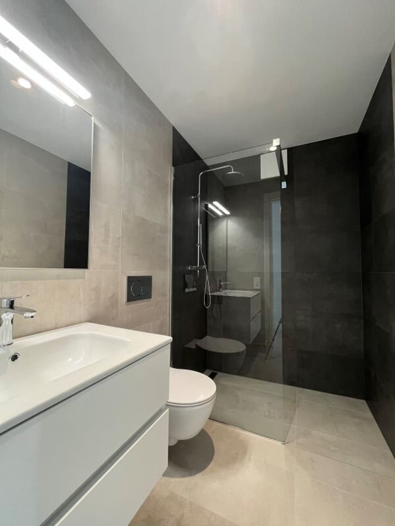 Nuovo attico di 3.5 locali, Locarno-Solduno (10)