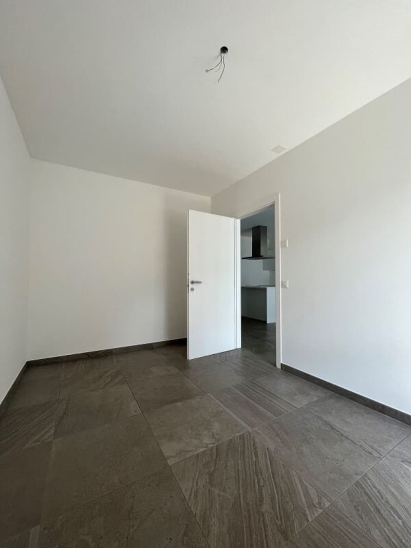 Res. Leche Park, appartamento di 4.5 locali, Bellinzona (8)