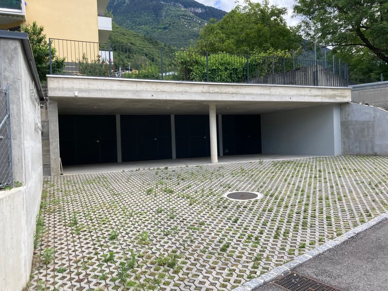 Attico di 4.5 locali con giardino privato, Lumino (16)