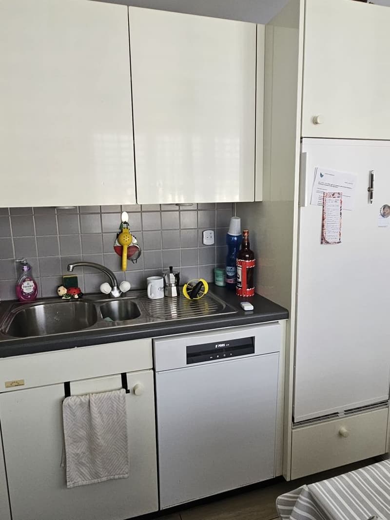 Res. al Chiosso, appartamento duplex  di 4.5 locali, Quartino (5)