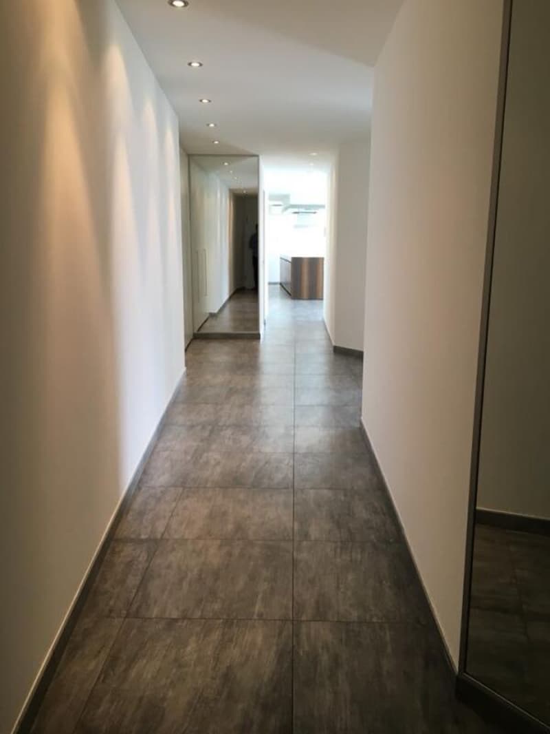 Anche residenza secondaria - Res. Diamante, attico di 4.5 locali con vista lago, Gordola (11)
