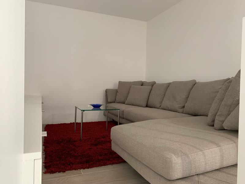 Appartamento di 2.5 locali arredato, Bellinzona (3)