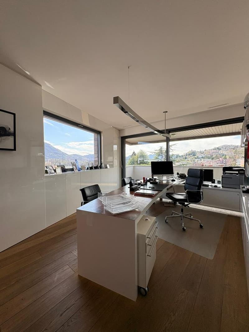 Ufficio all’ultimo piano con potenziale trasformazione in attico, Lugano (10)