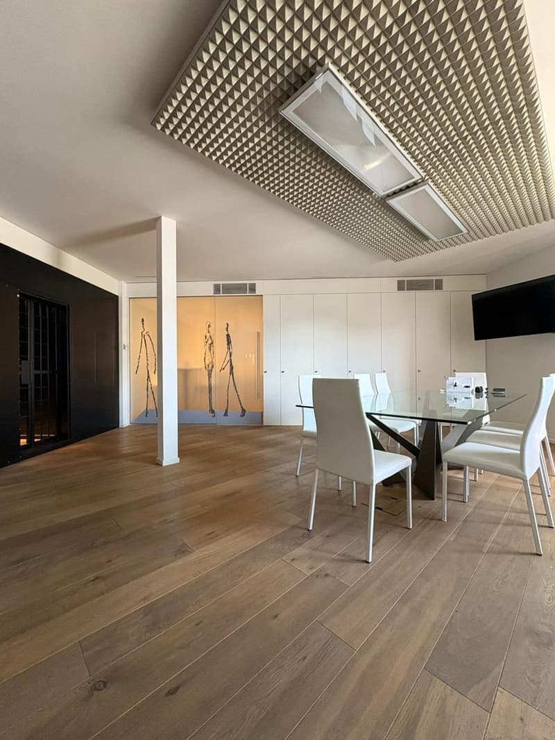 Ufficio all’ultimo piano con potenziale trasformazione in attico, Lugano (2)