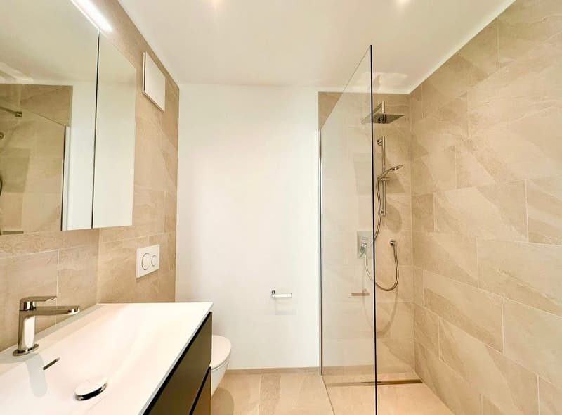 Appartamento, 3.5 locali con giardino,Tenero (11)