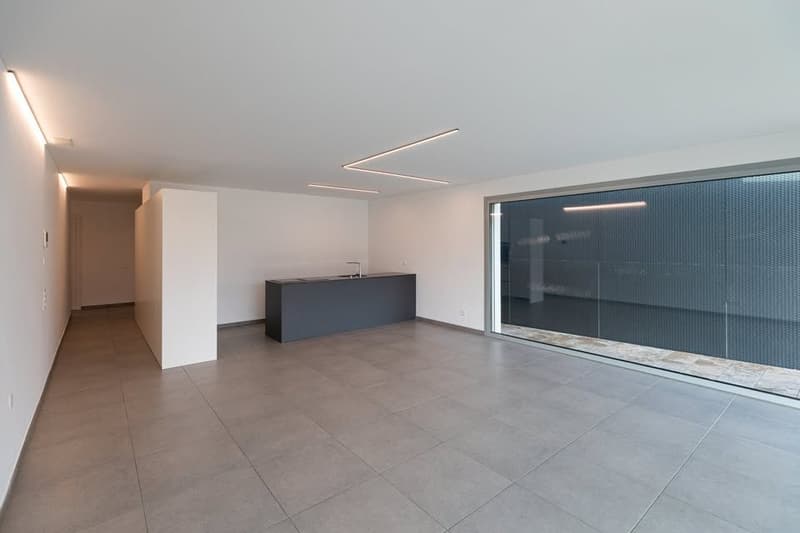 Appartamento di 3.5 locali con grande terrazza, Bellinzona (1)