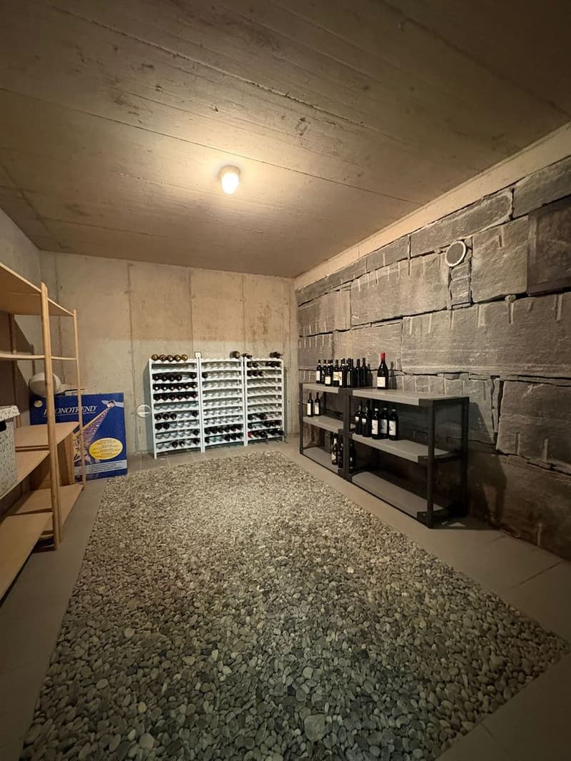 Casa unifamiliare con ampio giardino in posizione tranquilla a Grono (13)