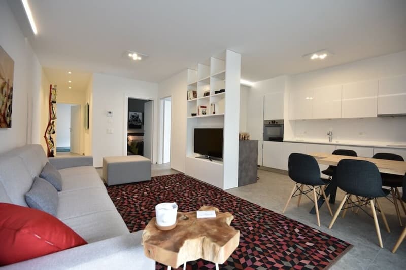 Modern Furnished Apartment Luxury C24 Bellinzona (1)