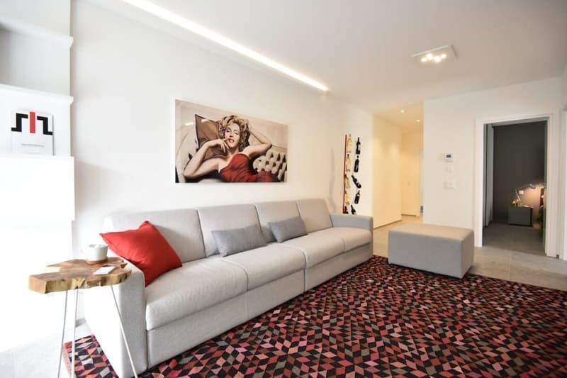 Modern Furnished Apartment Luxury C24 Bellinzona (3)