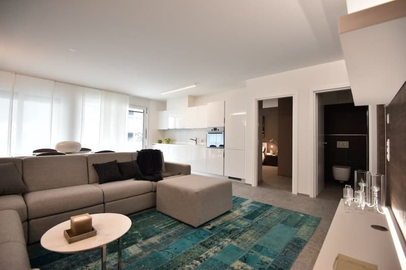 Modern Furnished Apartment Luxury C19 Bellinzona (1)