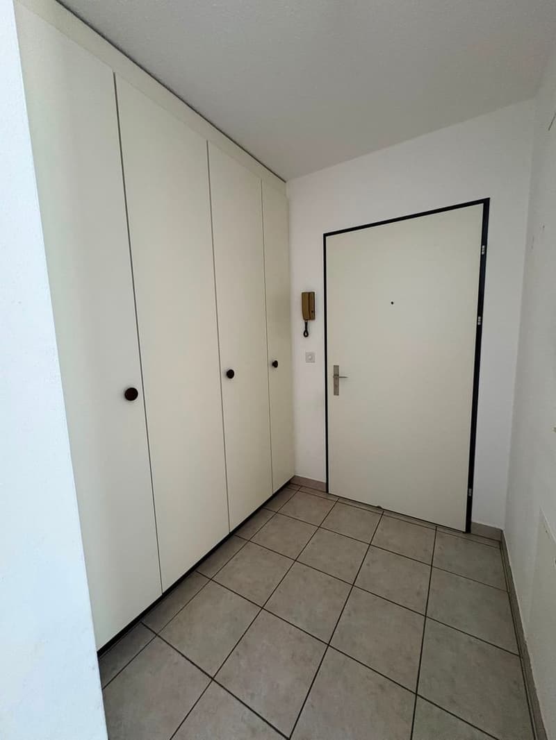 Monolocale a Giubiasco (4)