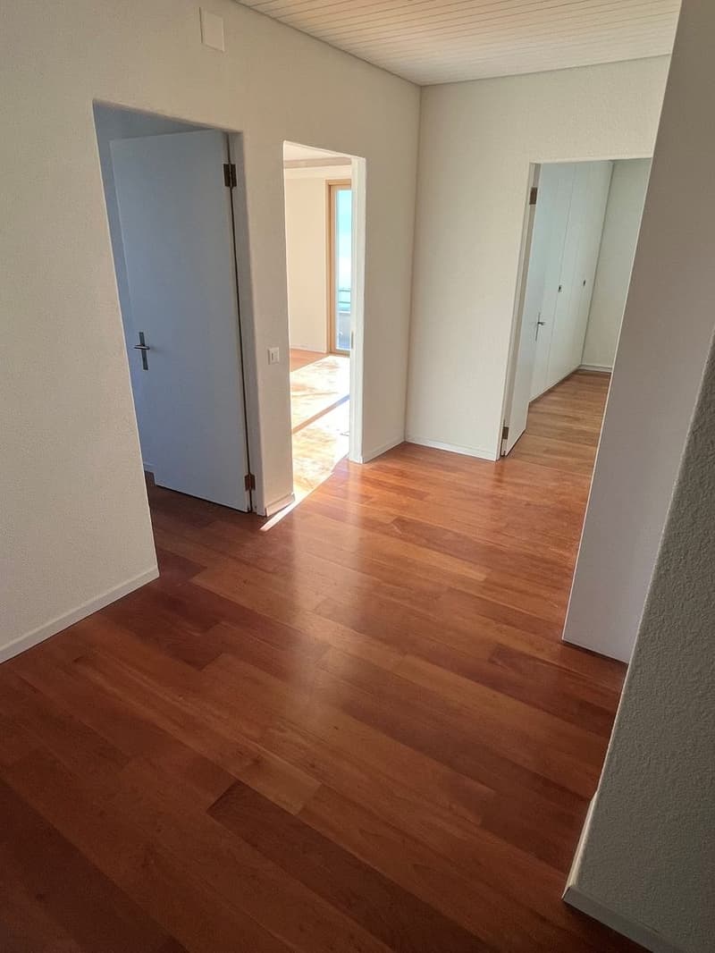 Esclusiva Villa con vista lago posteggi e vari confort. (15)