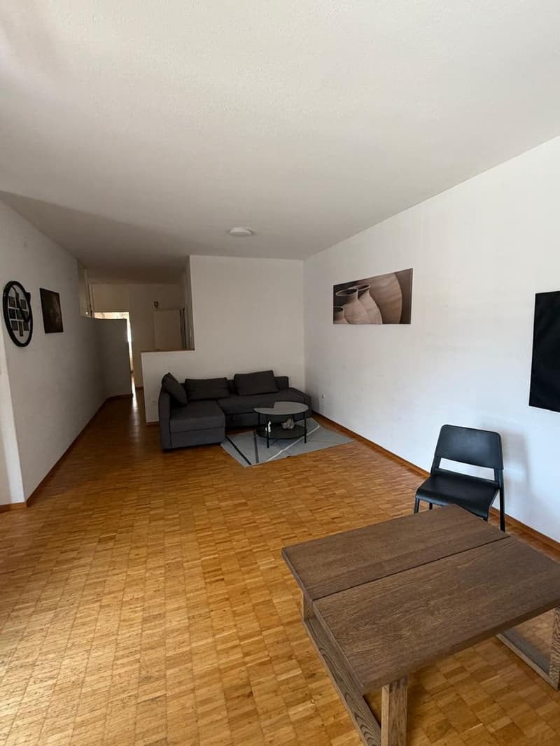 Appartamento arredato Bellinzona 3.5 Locali (3)