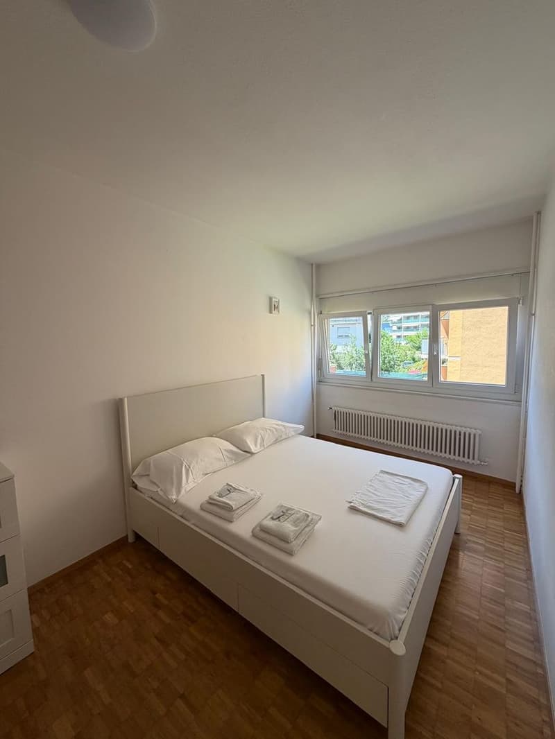 Appartamento arredato Bellinzona 3.5 Locali (5)