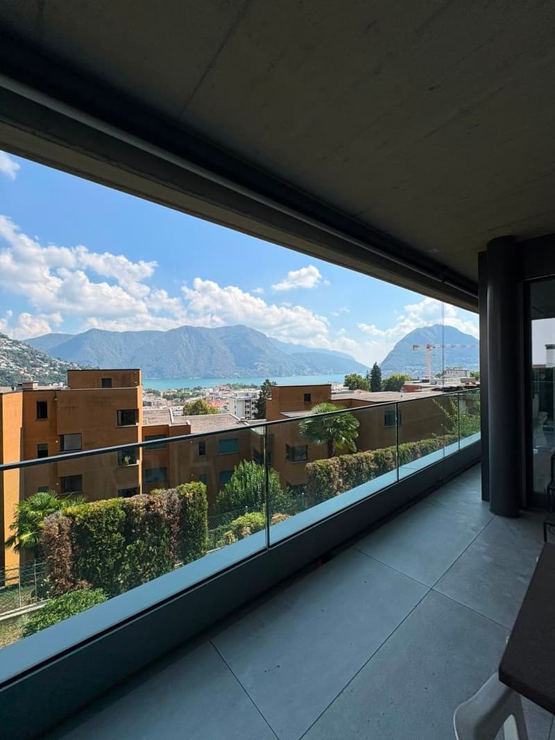 Res. Seven, appartamento di 3.5 locali, Massagno (3)