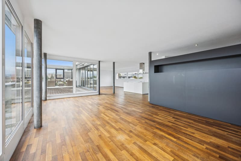 Attique exclusive avec 5,5 pièces et vue panoramique à Hübeliacker Suhr (8)