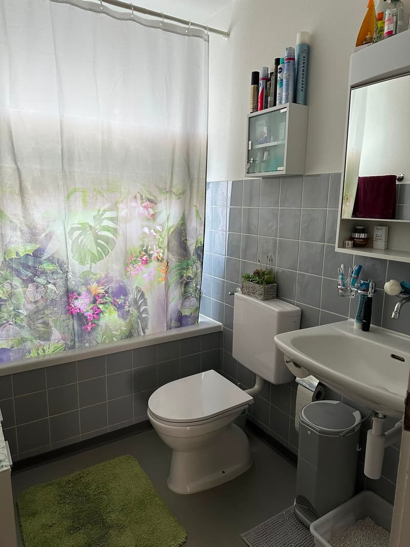 3 Zimmerwohnung per 01.08.2026 oder nach Vereinbarung (7)