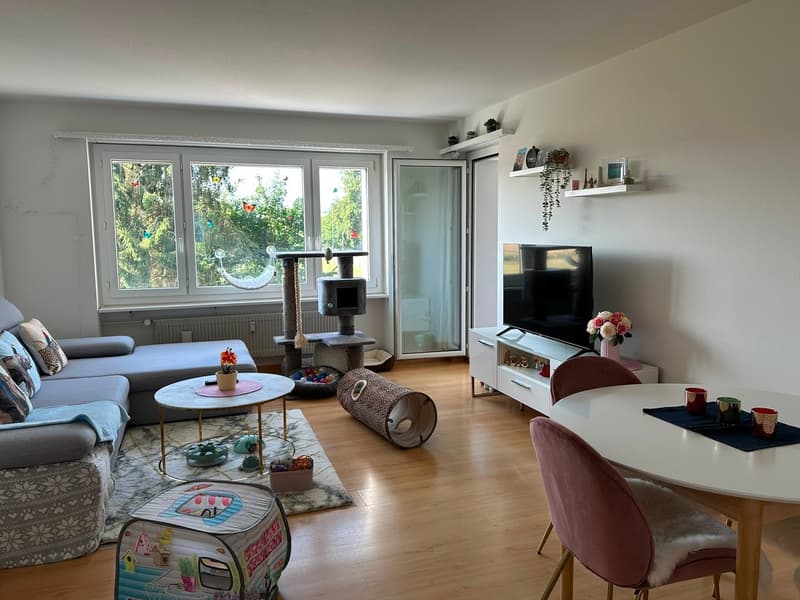 3 Zimmerwohnung per 01.08.2026 oder nach Vereinbarung (2)