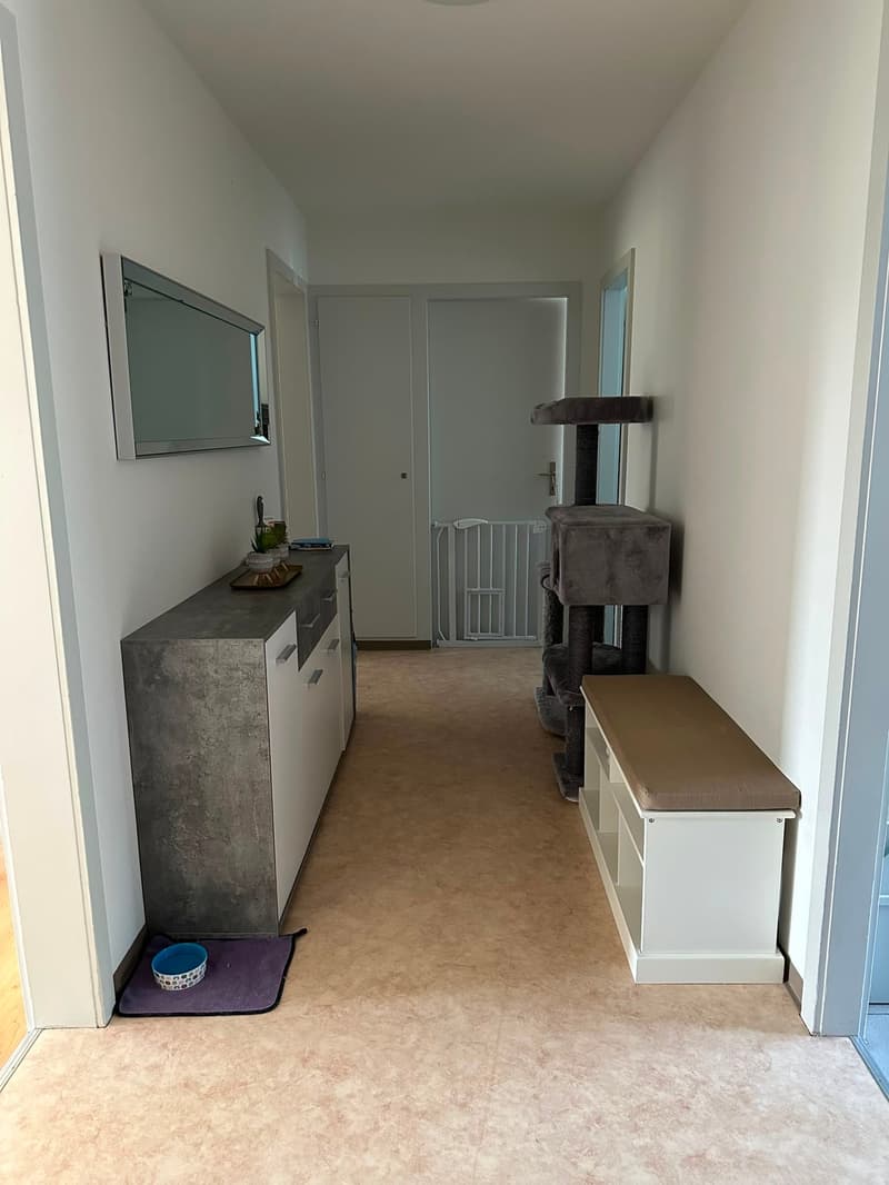 3 Zimmerwohnung per 01.08.2026 oder nach Vereinbarung (9)