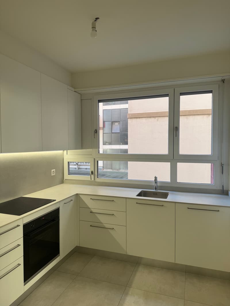 Appartamento 4.5 locali a Lugano Cassarate con posteggio (2)