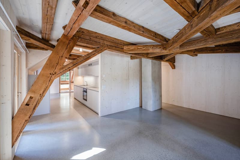 Einzigartige Loftwohnung in historischer Makkaronifabrik (4)