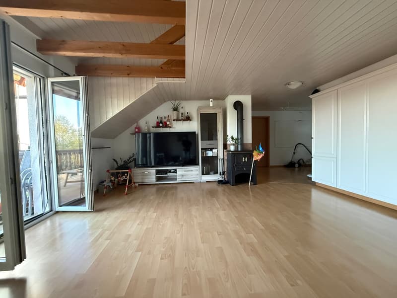 large living room, wooden floor, large windows, balcony, TV, fireplace, cabinets, shelves