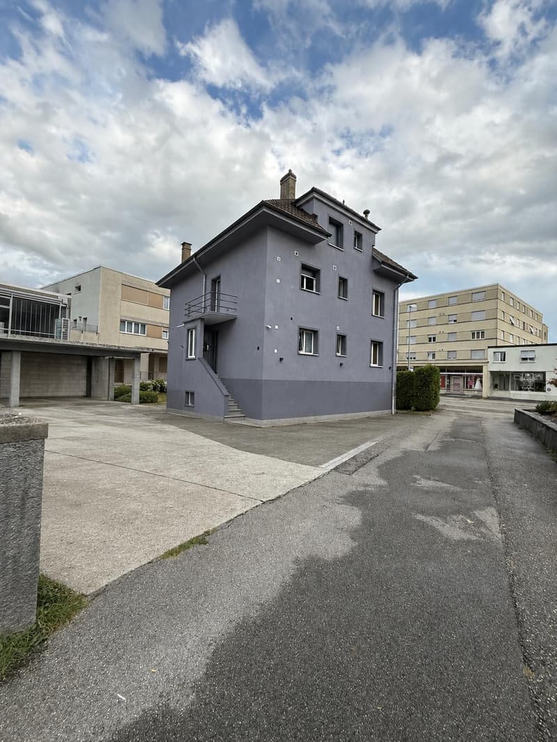 Kernsaniertes Mehrfamilienhaus (1)