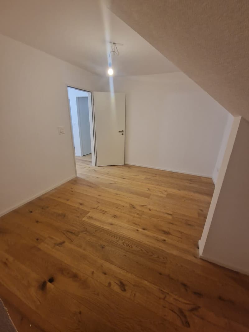 Kernsaniertes Mehrfamilienhaus (13)