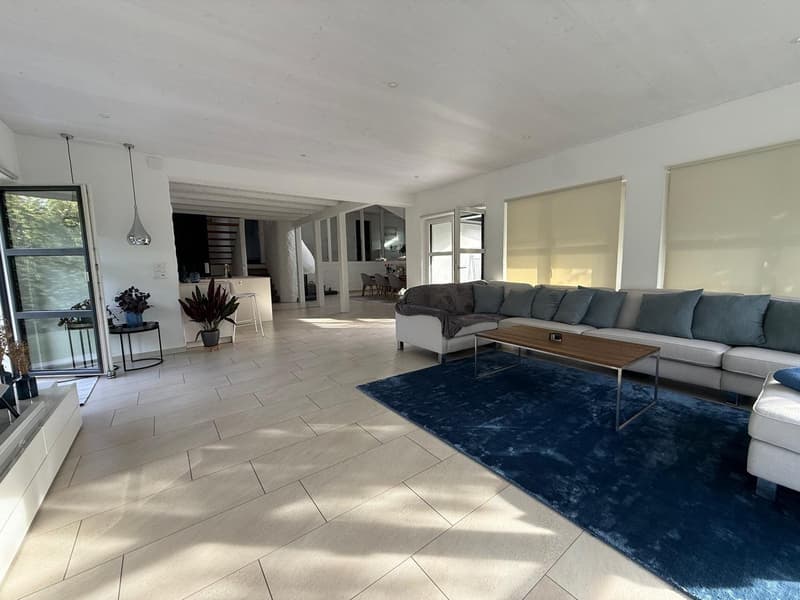 Exklusive 6.5-Zimmer-Villa (9)