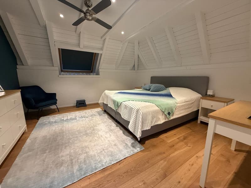 Exklusive 6.5-Zimmer-Villa (5)