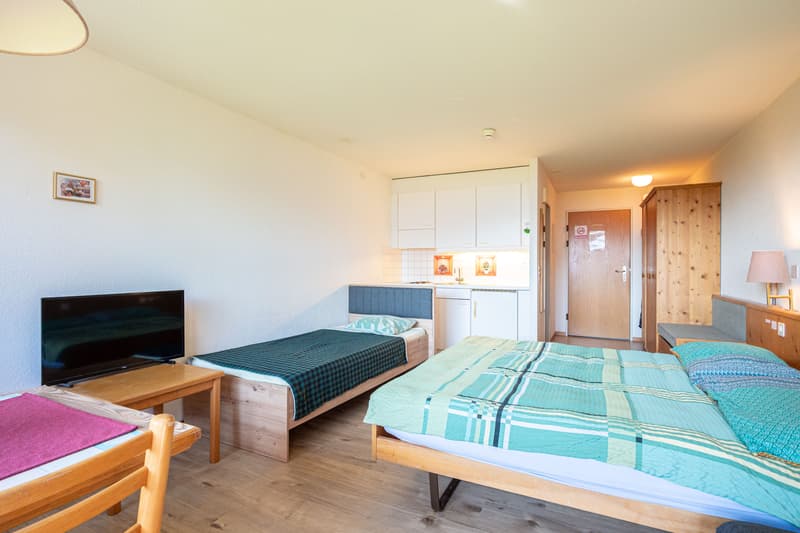 Gemütliches 1-Zimmer-Studio mit Bergsicht in Aeschi bei Spiez kaufen (4)