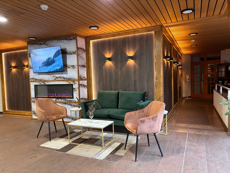 Gemütliches 1-Zimmer-Studio mit Bergsicht in Aeschi bei Spiez kaufen (9)
