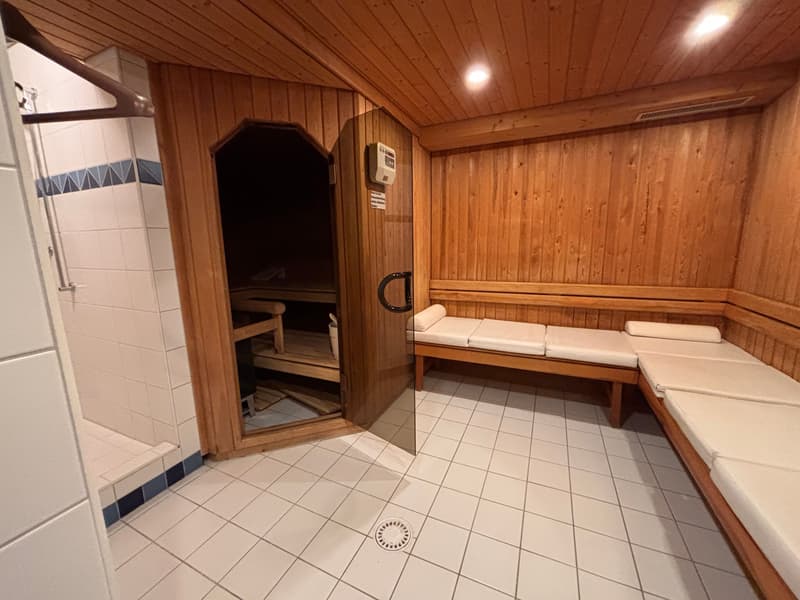 Gemütliches 1-Zimmer-Studio mit Bergsicht in Aeschi bei Spiez kaufen (10)