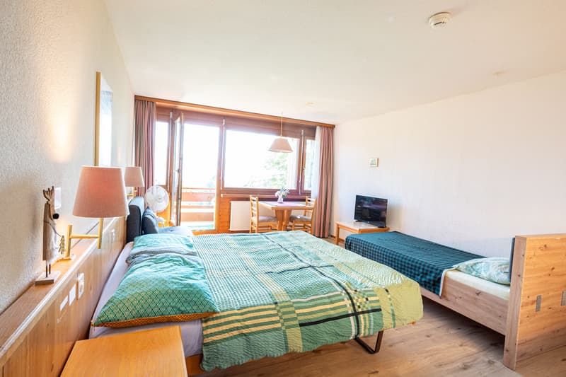 Gemütliches 1-Zimmer-Studio mit Bergsicht in Aeschi bei Spiez kaufen (1)